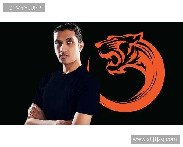 DOTA2战术解析:WE战队独特节奏体系的成功之道与应用